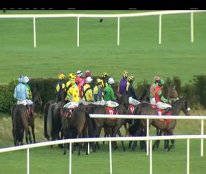 Video preview image for Punchestown 13:25 - Sherry Fitzgerald Lettings Handicap Hurdle