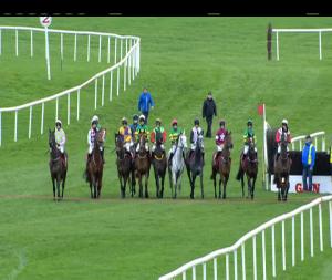 Video preview image for Punchestown 14:30 - Gain Supporting Laois Gaa Beginners Chase 