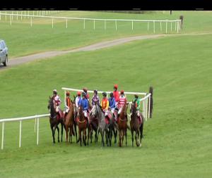 Video preview image for Punchestown 15:40 - Old House, Kill (Pro/Am) I.N.H. Flat 