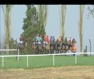 Video preview image for Clonmel 13:20 - Kilsheelan Mares Maiden Hurdle 