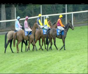 Video preview image for Clonmel 13:50 - Munster Hurdle 