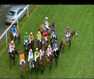 Video preview image for Clonmel 14:20 - Demesne Mares Maiden Hurdle 