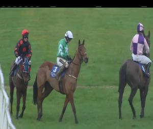 Video preview image for Clonmel 15:35 - Micro Dog Id Chase 