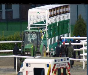 Video preview image for Dundalk 17:30 - Esther McGahon, McGuinness & Co. Solicitors, Dundalk Claiming Race