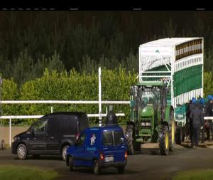 Video preview image for Dundalk 19:00 - Elusive Pimpernel Maiden (Plus 10)