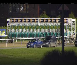 Video preview image for Dundalk 19:00 - Horse First Supplements Race