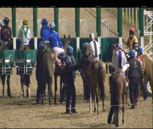 Video preview image for Dundalk 20:00 - Mcgeough's Bar & Restaurant, Dundalk Handicap (45-65) (Div 1)