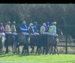 Video preview image for Fairyhouse 13:10 - Irish Stallion Farms E.B.F. Mares Beginners Chase