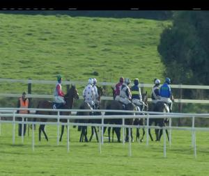 Video preview image for Fairyhouse 14:50 - Coolmore Soldier Of Fortune Mares Novice Hurdle (Grade 3)