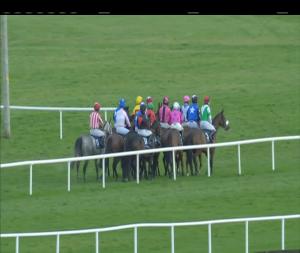 Video preview image for Fairyhouse 16:30 - Coolmore Champs Elysees E.B.F. Mares Flat Race (Listed)
