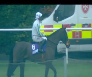 Video preview image for Leopardstown 15:30 - Flogas Novice Chase (Grade 1)