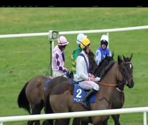 Video preview image for Naas 15:20 - Bba Ireland Limited Opera Hat Mares Chase (Listed)