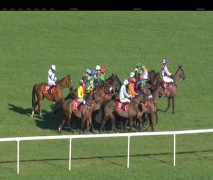 Video preview image for Punchestown 14:00 - Pertemps Network Group Handicap Hurdle (Qualifier)