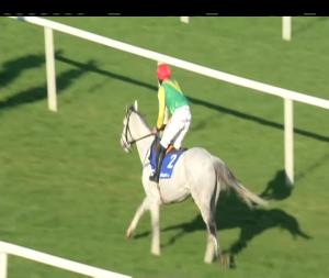 Video preview image for Punchestown 15:00 - Boylesports Tied Cottage Chase (Grade 2)