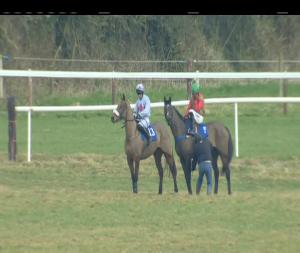Video preview image for Thurles 14:10 - Rock Of Cashel Handicap Chase (0-102)
