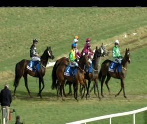 Video preview image for Thurles 15:00 - At The Races Michael Purcell Memorial Novice Hurdle (Grade 3)
