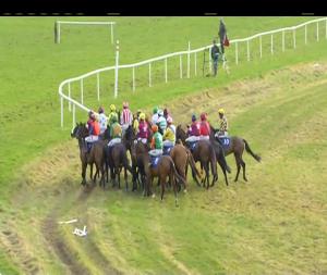 Video preview image for Thurles 15:45 - Holycross Maiden Hurdle