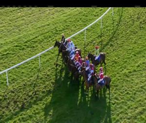 Video preview image for Thurles 16:10 - Littleton Handicap Hurdle