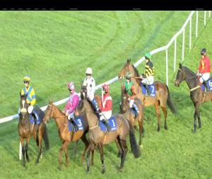 Video preview image for Clonmel 16:30 - Sporting Press Handicap Chase