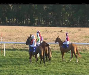Video preview image for Clonmel 17:00 - Ballydine Beginners Chase 