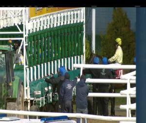 Video preview image for Dundalk 18:00 - Av Direct Irish European Breeders Fund Fillies Maiden 