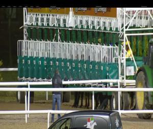 Video preview image for Dundalk 18:30 - Celtic Adventures Fillies Maiden 