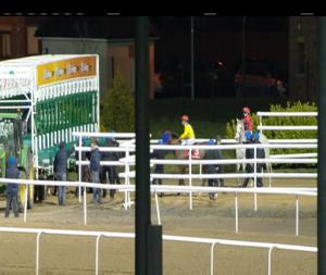 Video preview image for Dundalk 19:00 - Alska Swedish Cider Handicap