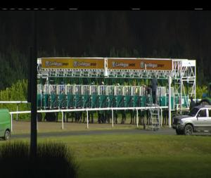 Video preview image for Dundalk 20:30 - Racing Post Handicap