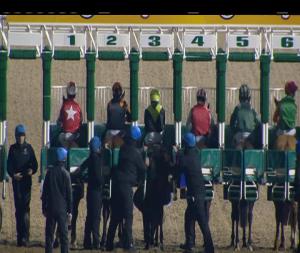 Video preview image for Dundalk 20:30 - visitcarlingford.com Handicap