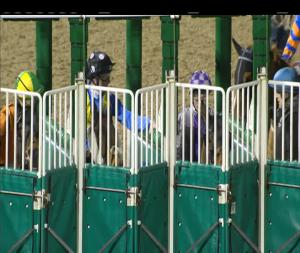Video preview image for Dundalk 21:00 - Koffy Handicap