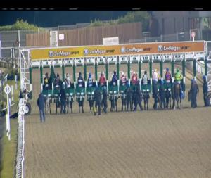 Video preview image for Dundalk 21:00 - Kentucky Derby Qualifier At Dundalk March 2nd Handicap