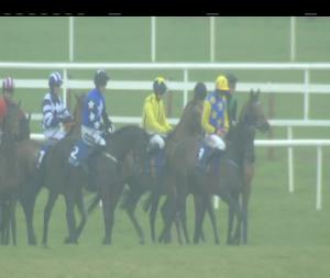 Video preview image for Fairyhouse 13:25 - fairyhouse.ie Mares Maiden Hurdle