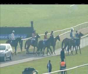 Video preview image for Fairyhouse 13:45 - Winning Fair Juvenile Hurdle (Grade 3)