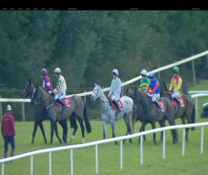 Video preview image for Gowran Park 13:25 - www.gowranpark.ie Beginners Chase