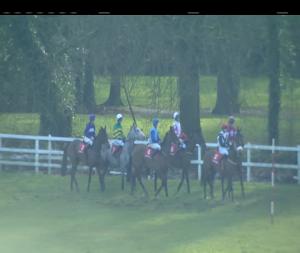 Video preview image for Gowran Park 14:35 - Book Direct At talbotcarlow.ie Careys Cottage Cup Handicap Chase