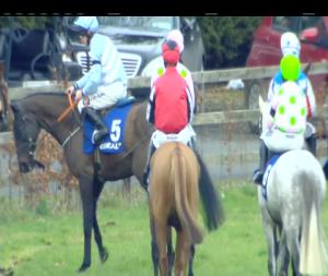 Video preview image for Leopardstown 13:45 - Coral Dublin Chase (Grade 2)