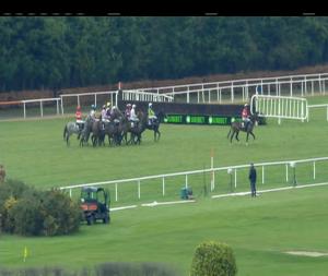 Video preview image for Leopardstown 13:50 - Deloitte Novice Hurdle (Brave Inca) (Grade 1)