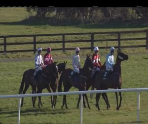 Video preview image for Naas 15:45 - Paddy's Rewards Chase (Grade 3)