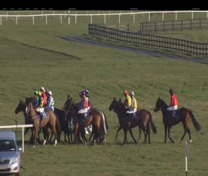 Video preview image for Naas 16:15 - Ardstone Homes Supporting Killarney Gaa Handicap Hurdle 