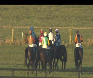 Video preview image for Naas 17:15 - Paddy Power Acca Insurance (Pro/Am) I.N.H. Flat