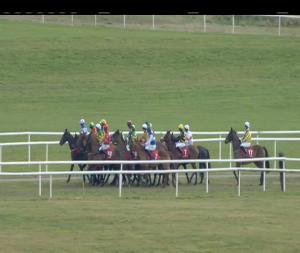 Video preview image for Punchestown 13:55 - Festival Party Pack From €30 Maiden Hurdle