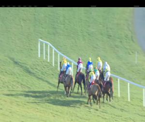 Video preview image for Punchestown 14:10 - Michael Fitzpatrick Memorial Maiden Hurdle