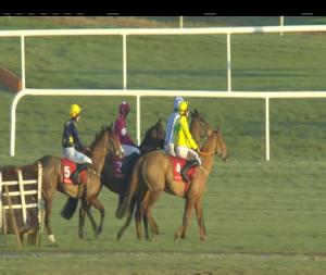 Video preview image for Punchestown 16:50 - Star Medical Supporting Kilmacud Crokes Hurling (Pro/Am) I.N.H. Flat