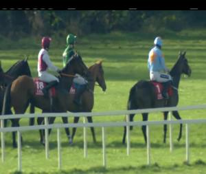 Video preview image for Cork 13:20 - Mccarthy Insurance Group Maiden Hurdle 