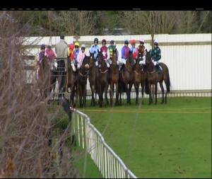 Video preview image for Down Royal 15:55 - Bet With The Tote Handicap Hurdle (80-116)
