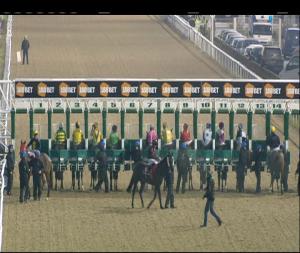 Video preview image for Dundalk 17:00 - New Creation Design & Print Maiden