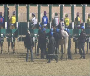 Video preview image for Dundalk 18:00 - www.sherryproperty.ie Handicap (45-65) (Div 2)