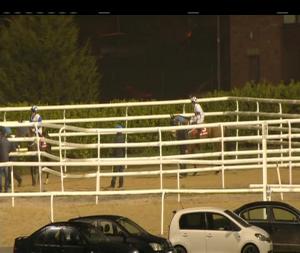 Video preview image for Dundalk 18:00 - Kelleher Insurances Rated Race