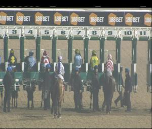 Video preview image for Dundalk 19:00 - Cross Square Hotel, Crossmaglen Handicap