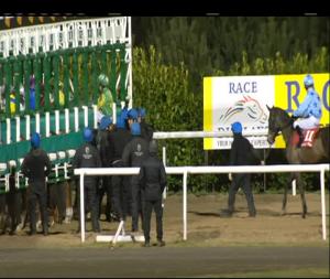 Video preview image for Dundalk 19:30 - Ashbrook Foods Apprentice Handicap (45-65) (Div 1)